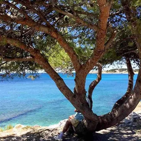 Le Chant Des Cigales Duplex Climatise Pres Des Plages * Sausset-les-Pins